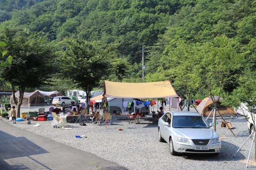더좋은 펜션 캠핑장 사진 2