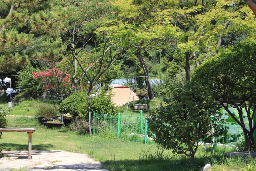 락인뜰 캠핑장 사진 3