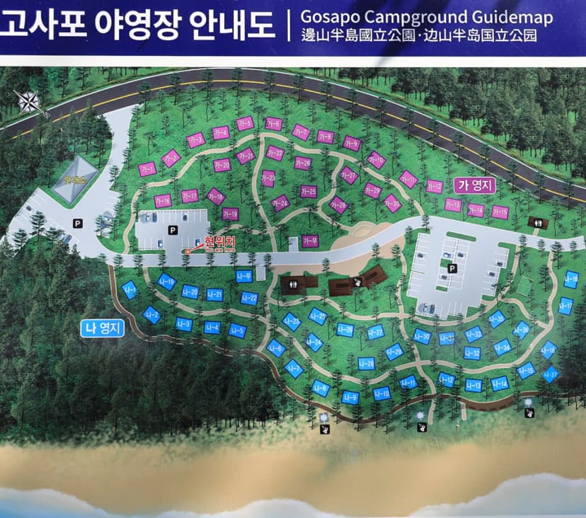 고사포야영장 사진 4