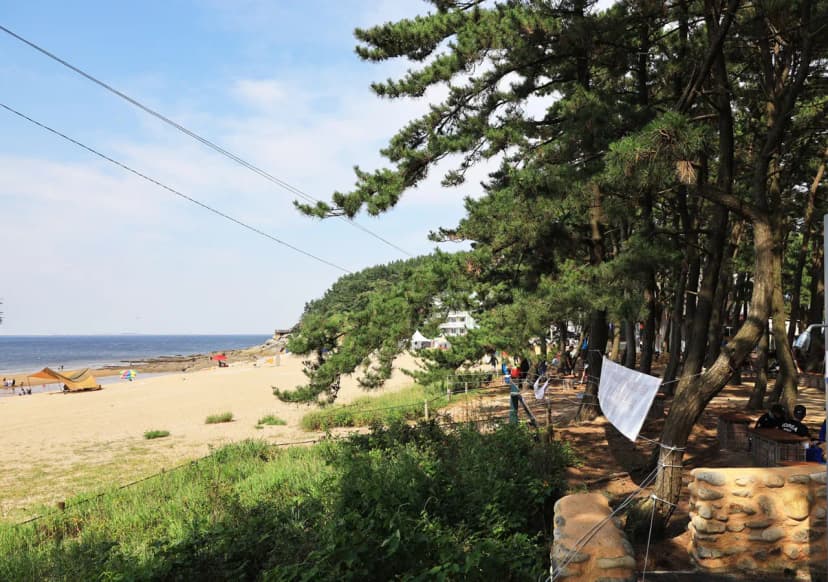 고사포야영장 사진 8