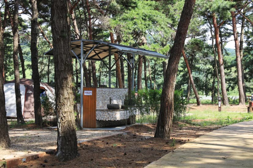 고사포야영장 사진 11