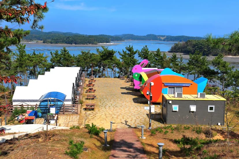 비토 국민여가캠핑장 사진 19