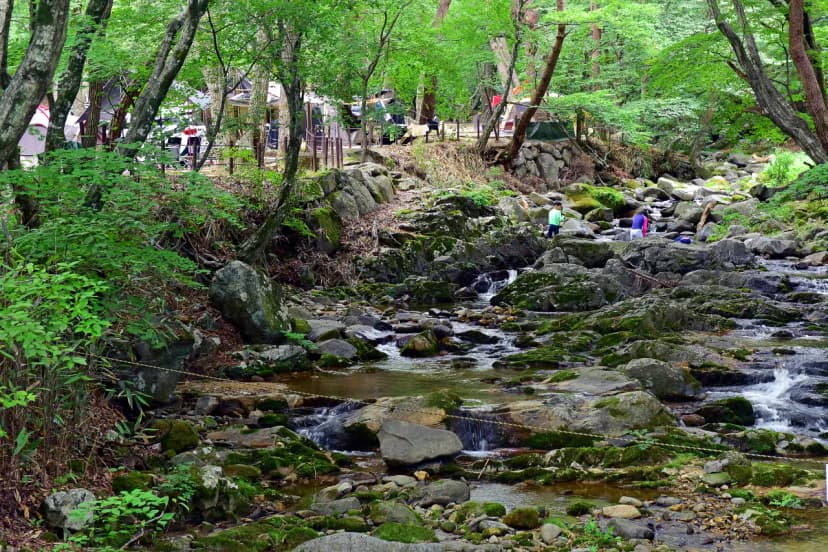 삼정야영장 사진 14