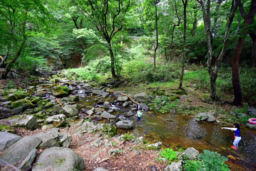 삼정야영장 사진 16