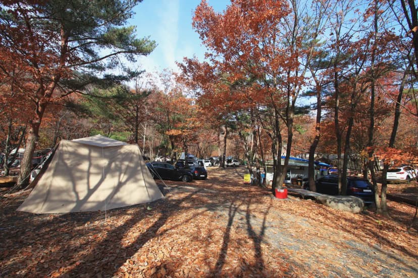 참나무숲 오토캠핑장 사진 3