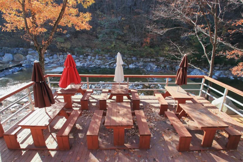 참나무숲 오토캠핑장 사진 16