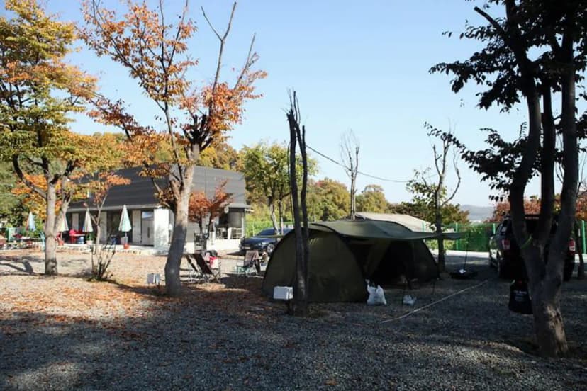 영수야 놀자 사진 2