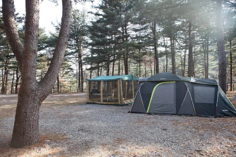 (주)수동자연마을 힐링별밤수목원캠핑장 사진 3
