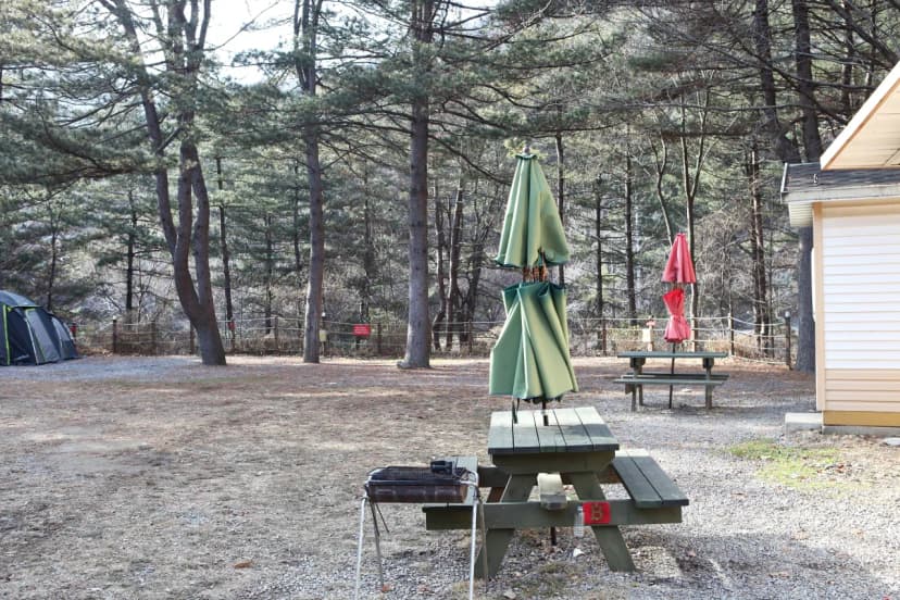 (주)수동자연마을 힐링별밤수목원캠핑장 사진 10