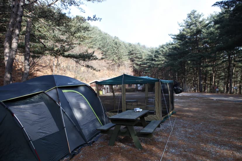 (주)수동자연마을 힐링별밤수목원캠핑장 사진 12