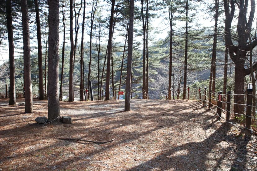 (주)수동자연마을 힐링별밤수목원캠핑장 사진 13