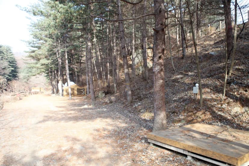 (주)수동자연마을 힐링별밤수목원캠핑장 사진 15