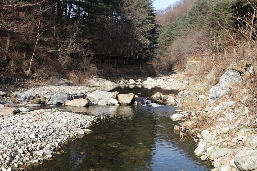 (주)수동자연마을 힐링별밤수목원캠핑장 사진 18