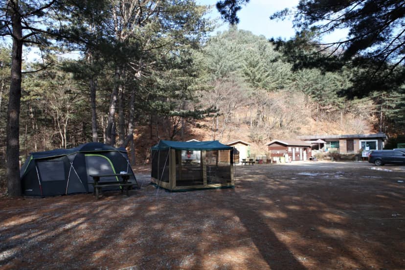 (주)수동자연마을 힐링별밤수목원캠핑장 사진 19