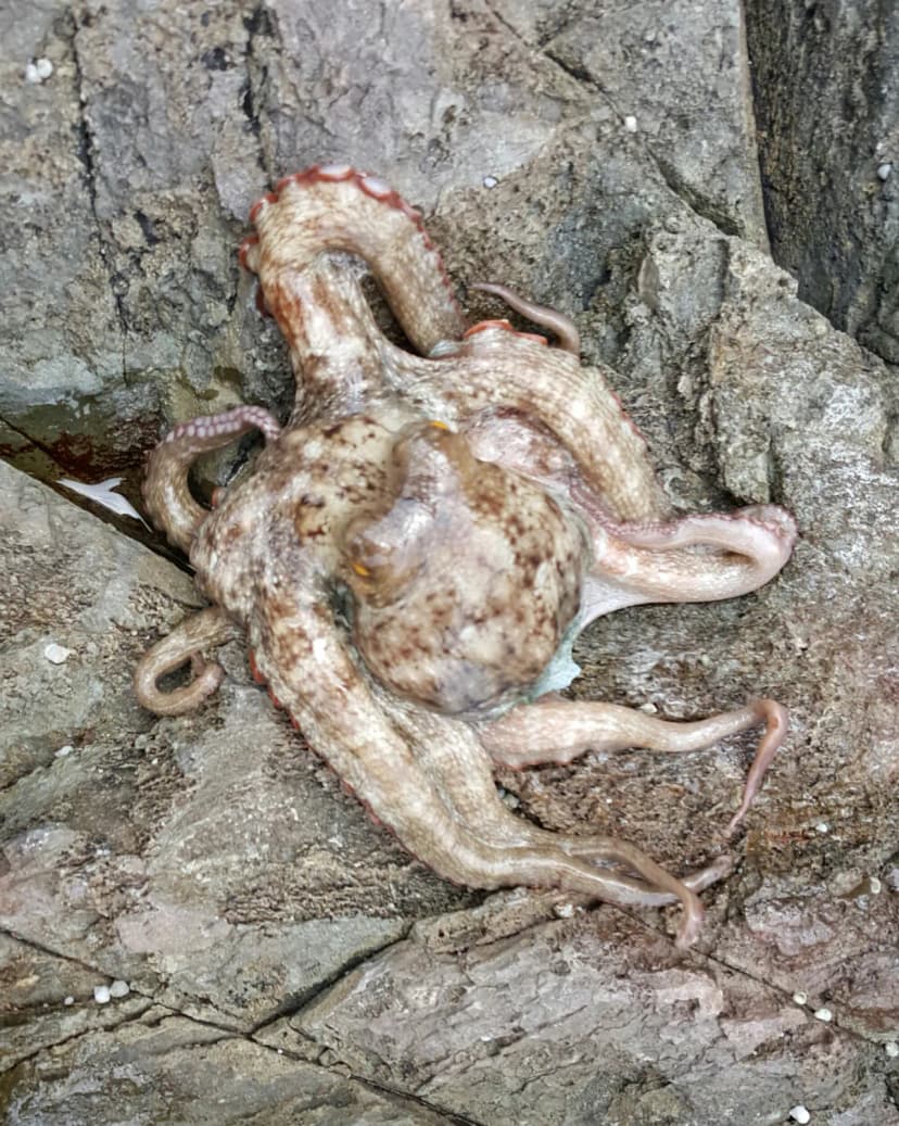 (주)청보리 사진 8