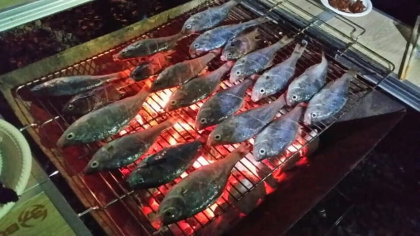 (주)청보리 사진 11