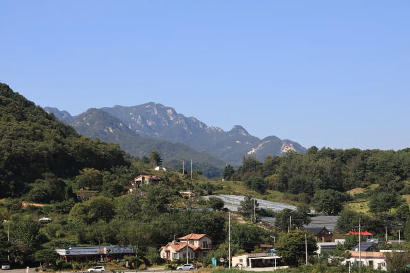 가평 댕댕이 애견 글램핑 앤 펜션 사진 4