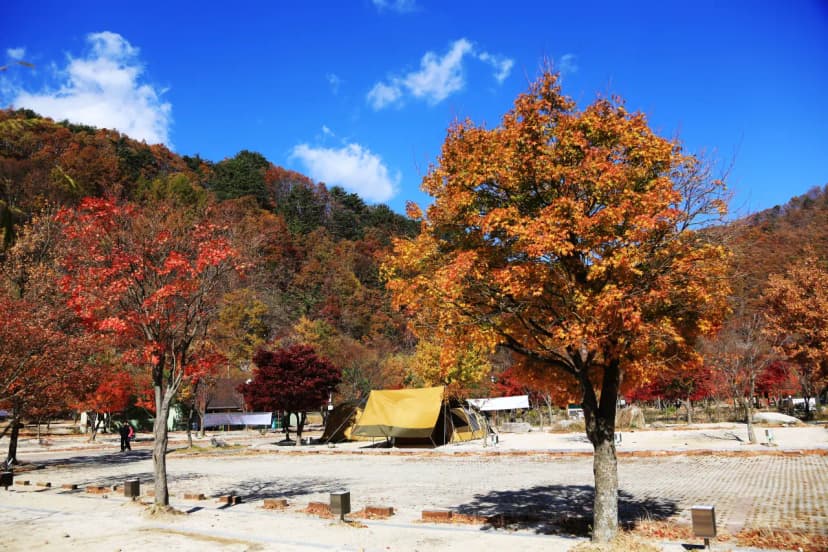 달궁자동차야영장 사진 5