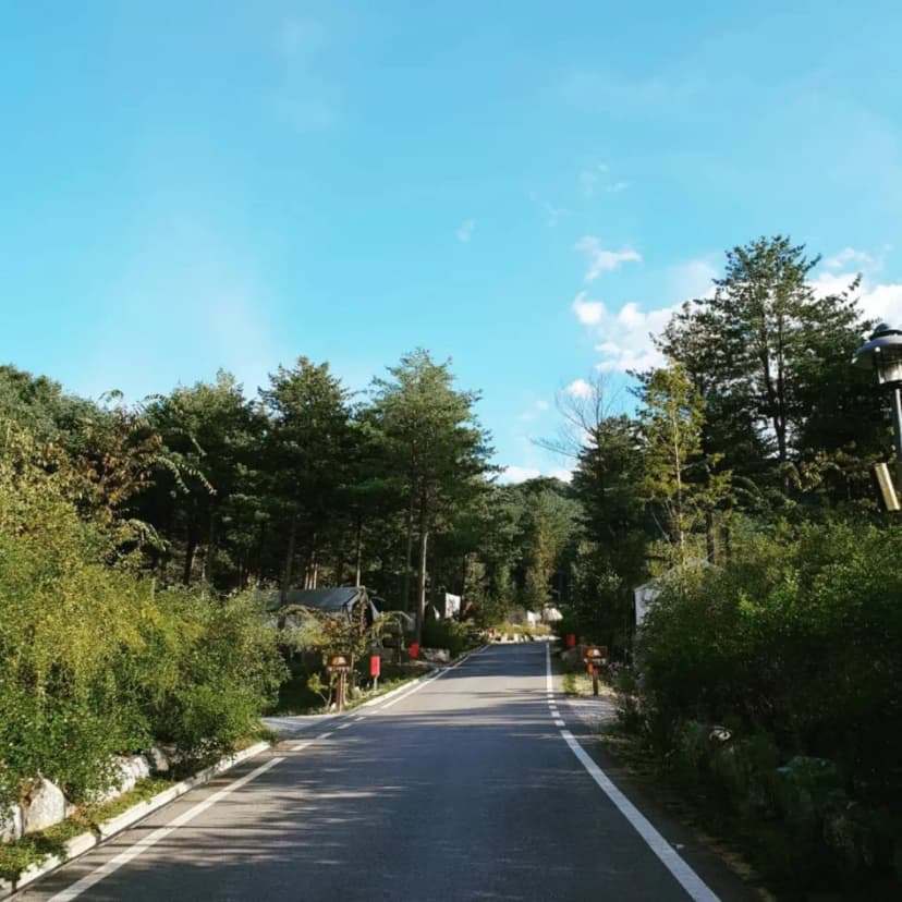 다목적광장 야영장 사진 20