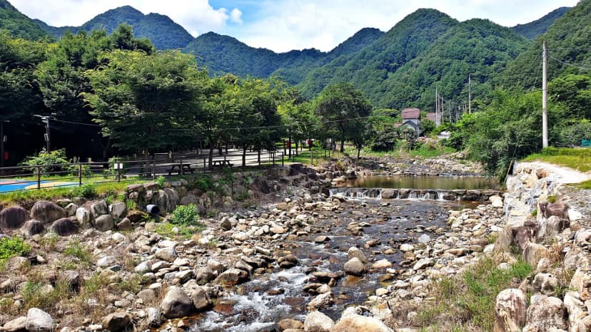 단양 남천 야영장 사진 15