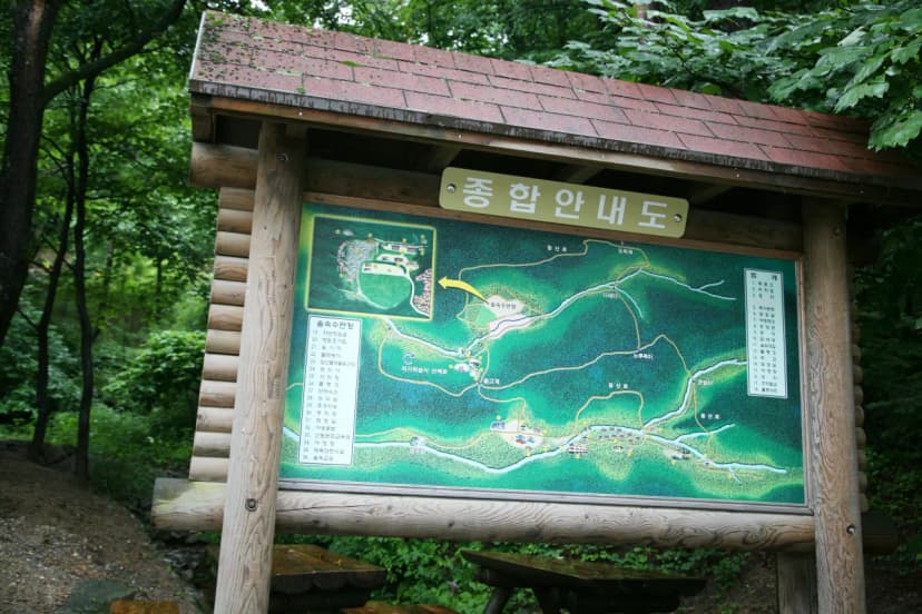 대관령자연휴양림야영장 사진 13