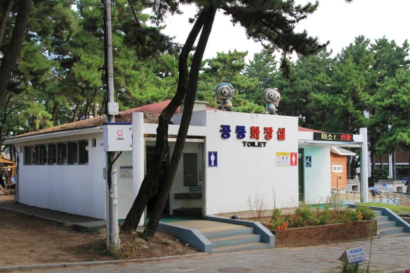 대천해수욕장 야영장 사진 15