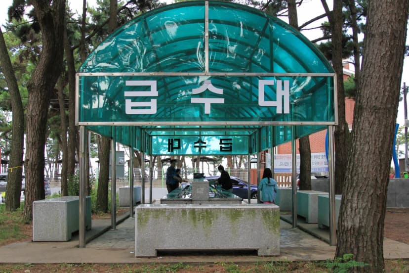 대천해수욕장 야영장 사진 16