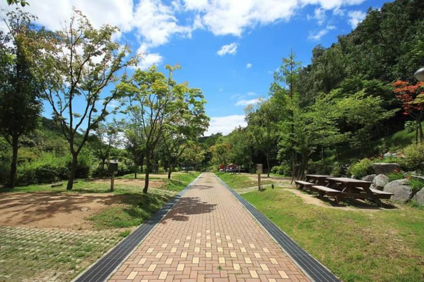 도학야영장 사진 2