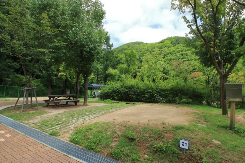 도학야영장 사진 3