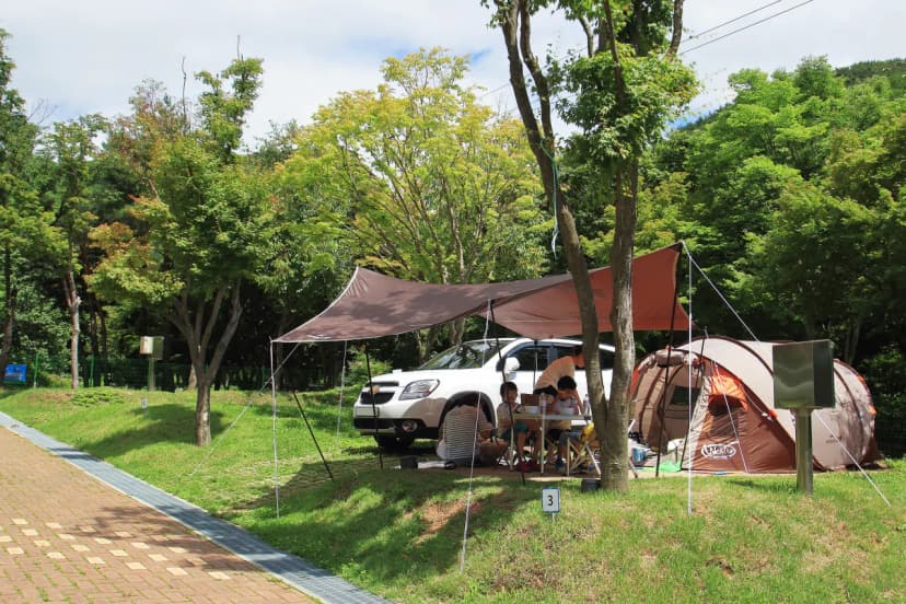 도학야영장 사진 5