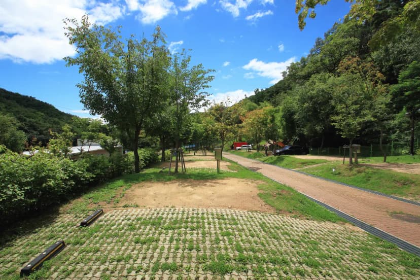 도학야영장 사진 16