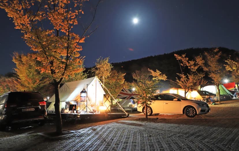 동강전망자연휴양림오토캠핑장 사진 10