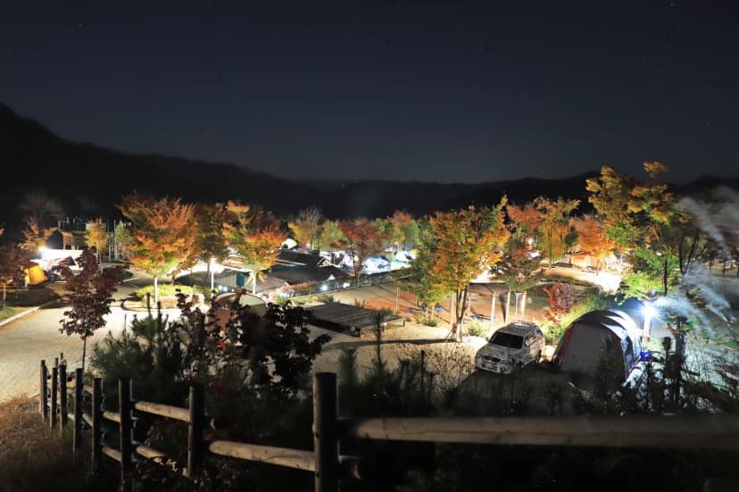 동강전망자연휴양림오토캠핑장 사진 14