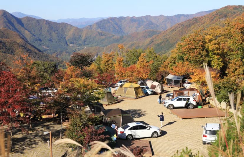 동강전망자연휴양림오토캠핑장 사진 21