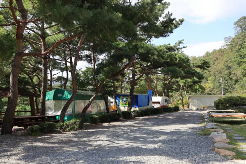 동산계곡 야영장 사진 3