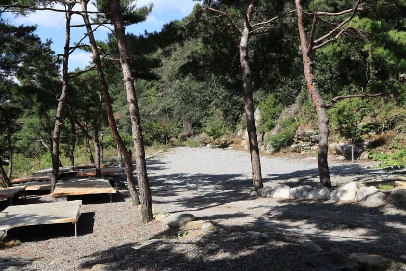 동산계곡 야영장 사진 8