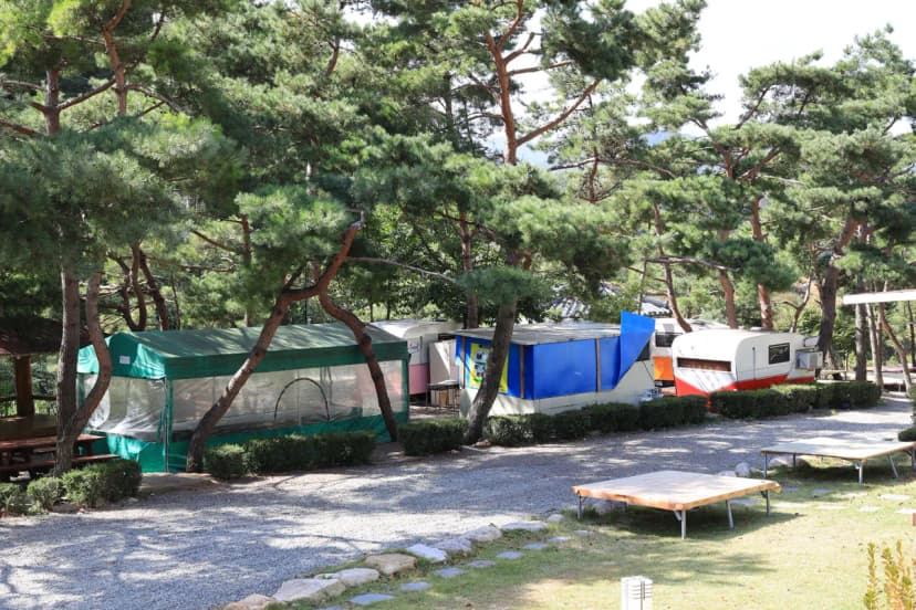동산계곡 야영장 사진 12