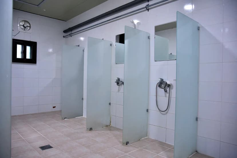 하얀숲 오토&글램핑 사진 19