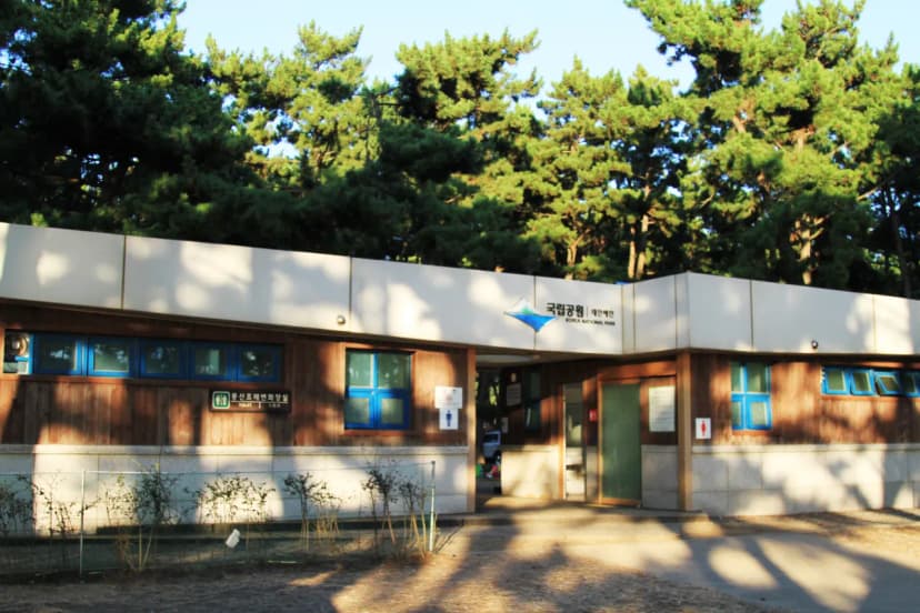 몽산포 자동차 야영장 사진 10