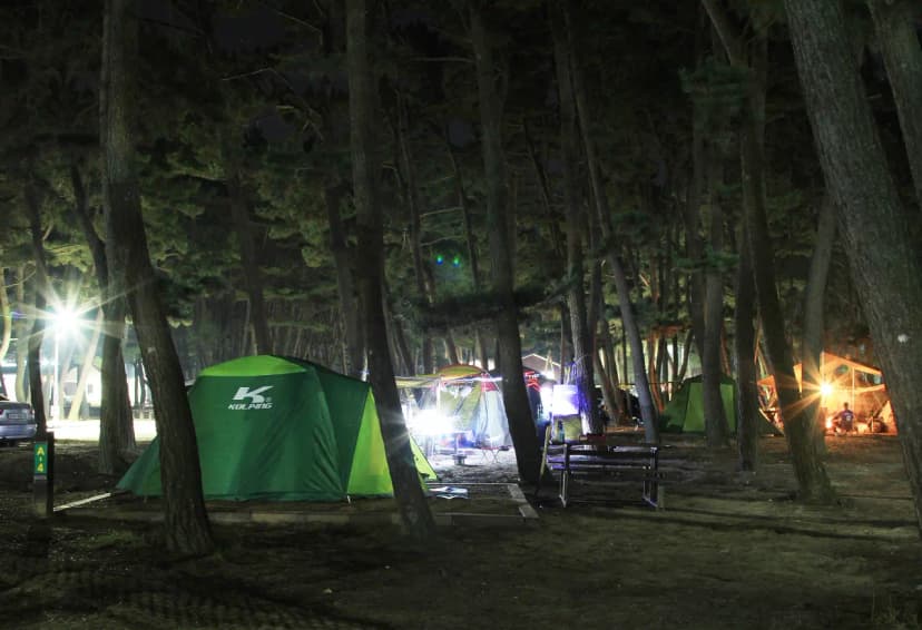 몽산포 자동차 야영장 사진 14