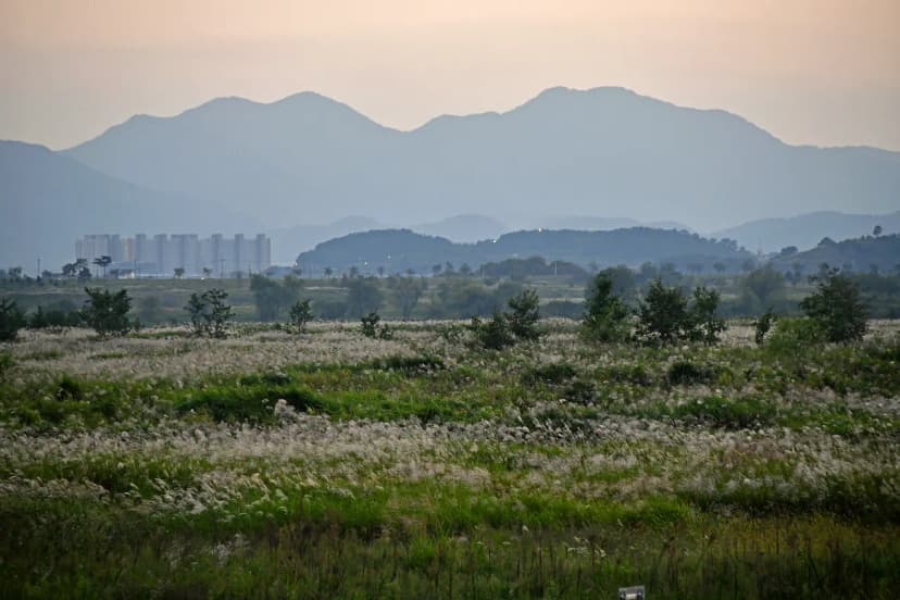 밀양아리랑 오토캠핑장 사진 20
