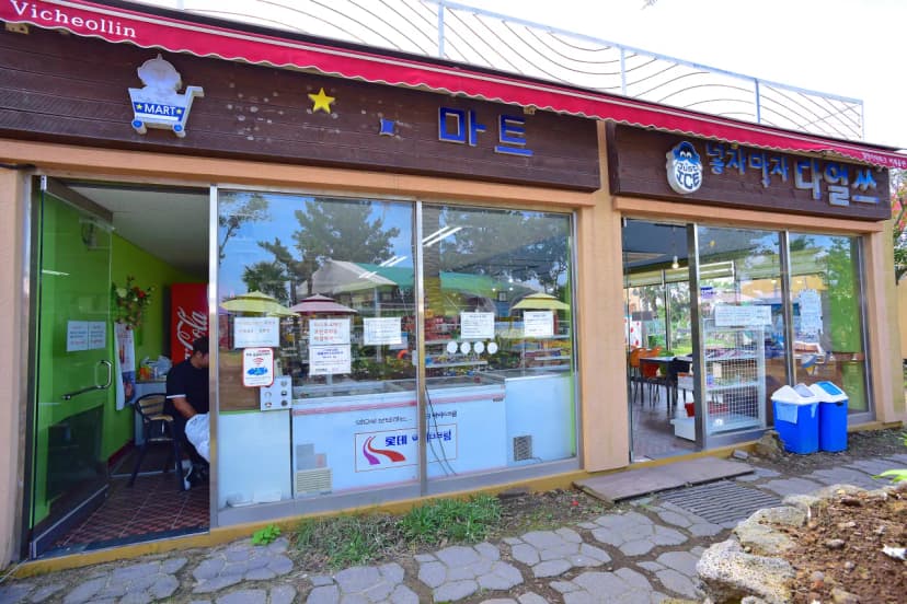 비체올린 사진 8