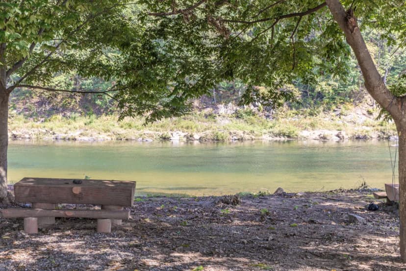 숲속의하모니 사진 11