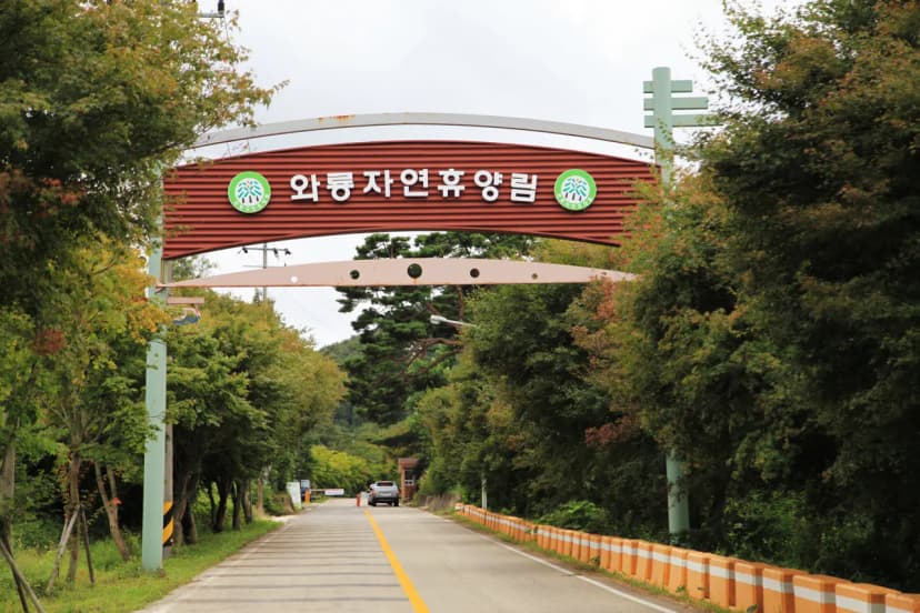 와룡자연휴양림 일반야영장 사진 17