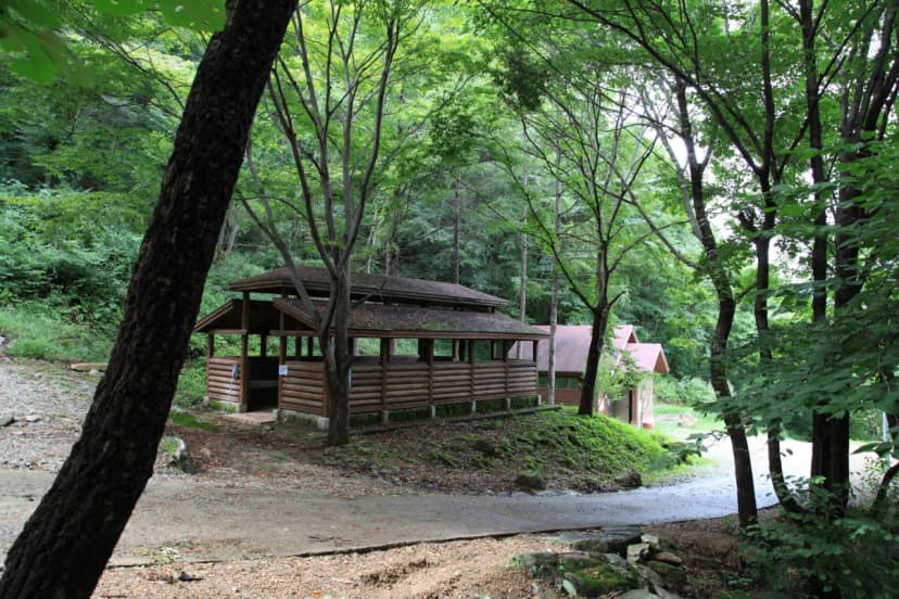 와룡자연휴양림 자동차야영장 사진 4