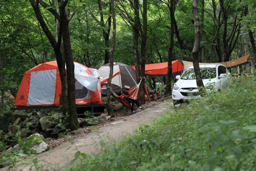 와룡자연휴양림 자동차야영장 사진 13