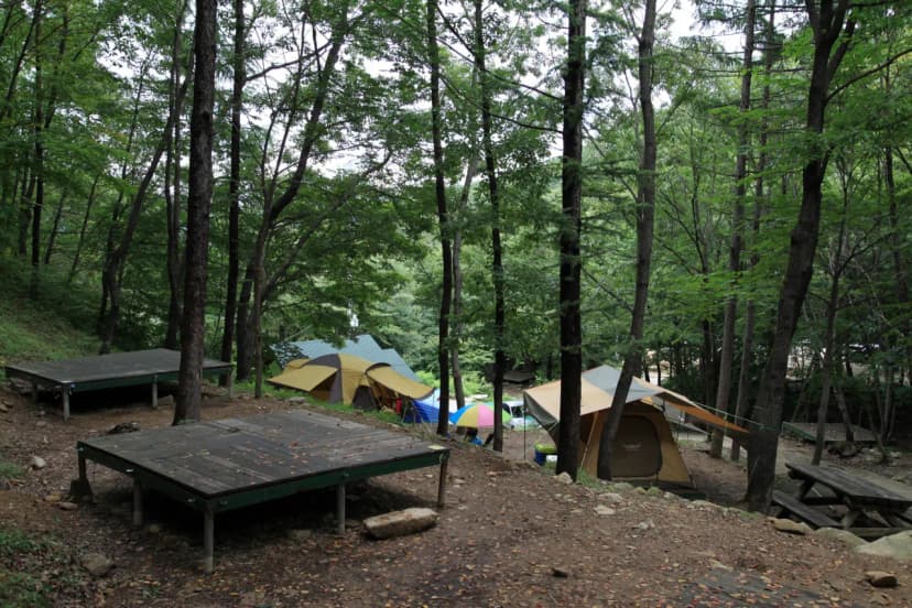 와룡자연휴양림 자동차야영장 사진 14