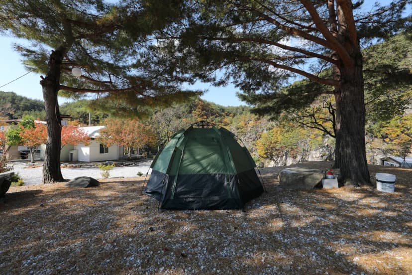 왕피천모래언덕 펜션/캠핑장 사진 7