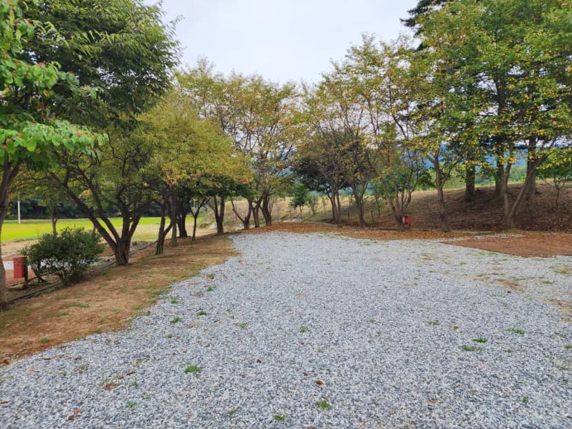 용인반딧불캠핑장 사진 3