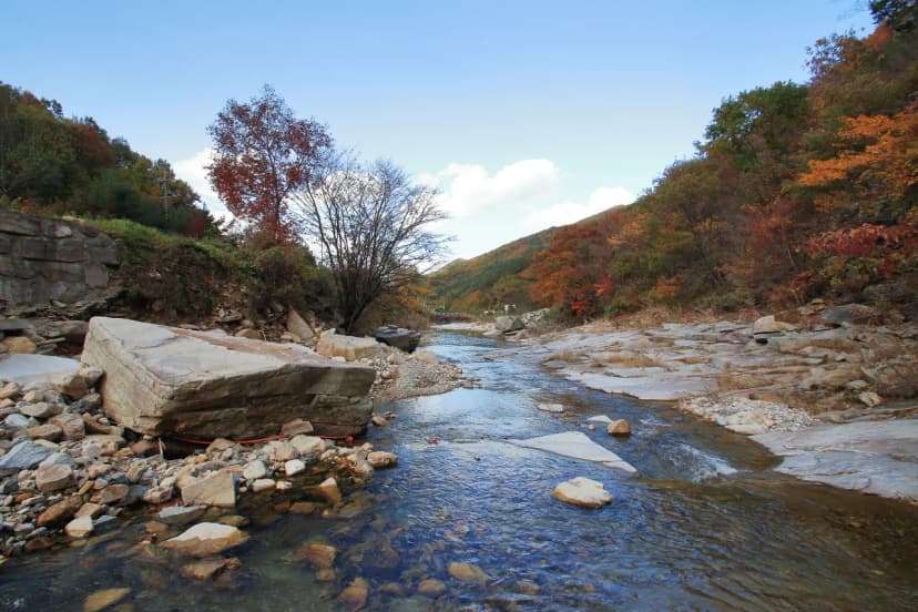 월계수 캠핑장 사진 8